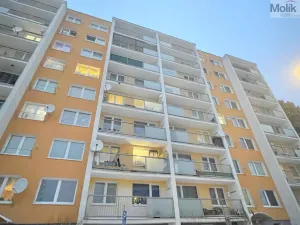 Prodej bytu 2+kk, Litvínov - Hamr, Přátelství, 40 m2