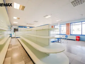 Prodej komerční nemovitosti, Rataje nad Sázavou, 200 m2