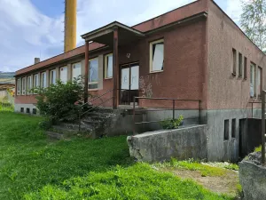 Prodej obchodního prostoru, Zlaté Hory, Na Sídlišti, 313 m2