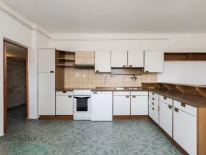 Prodej bytu 3+1, Plzeň, Křížkova, 106 m2