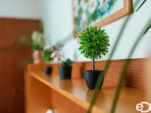 Prodej bytu 3+1, Sezemice, Smetanova, 79 m2