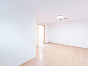 Pronájem bytu 2+kk, Praha - Žižkov, Viklefova, 56 m2