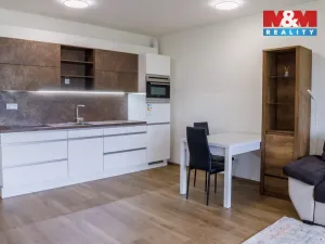 Prodej bytu 1+kk, Plzeň, 48 m2