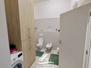 Pronájem bytu 2+kk, Opava, Růžová, 75 m2