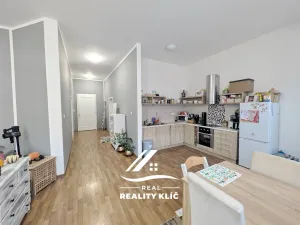 Pronájem bytu 2+kk, Opava, Růžová, 75 m2