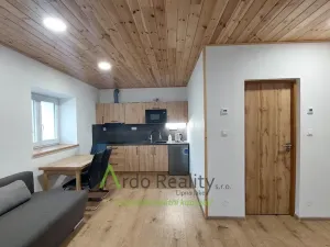 Pronájem bytu 1+kk, Loučovice, 65 m2