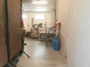 Prodej výrobních prostor, Horní Benešov - Luhy, 1241 m2