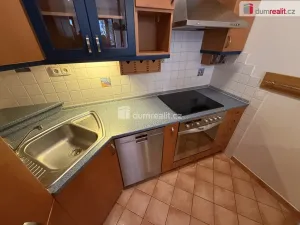 Pronájem bytu 2+kk, Praha - Podolí, Brabcova, 58 m2