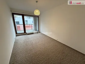 Pronájem bytu 2+kk, Praha - Podolí, Brabcova, 58 m2
