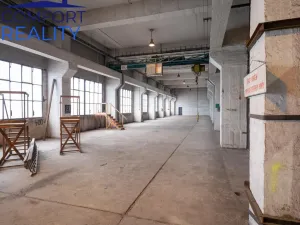 Pronájem skladu, Ostrava - Vítkovice, Halasova, 2914 m2