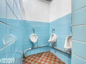 Prodej komerční nemovitosti, Česká Skalice, 392 m2