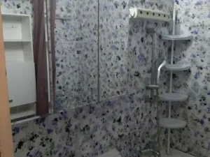 Pronájem bytu 2+1, Ostrava - Moravská Ostrava, Josefa Brabce, 64 m2