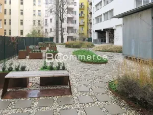 Pronájem kanceláře, Brno, 18 m2