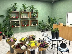 Pronájem obchodního prostoru, Brno, náměstí Svobody, 65 m2