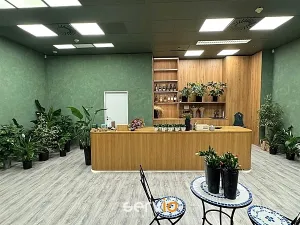 Pronájem obchodního prostoru, Brno, náměstí Svobody, 65 m2