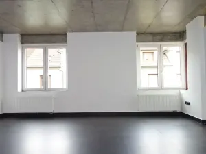 Prodej bytu 2+kk, České Budějovice, Rudolfovská tř., 98 m2