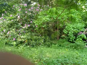 Prodej rodinného domu, Drslavice, 86 m2