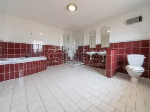 Prodej rodinného domu, Míčov-Sušice - Míčov, 250 m2