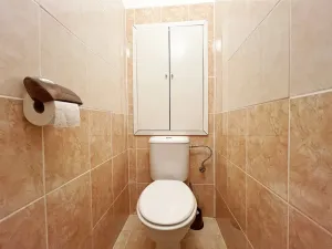 Pronájem bytu 2+1, Ústí nad Labem, Dukelských hrdinů, 49 m2