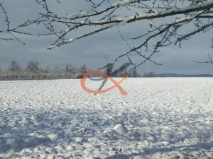 Prodej pozemku pro bydlení, Bělotín, 5104 m2