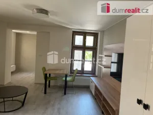 Pronájem bytu 1+kk, Opava - Město, Dolní náměstí, 49 m2