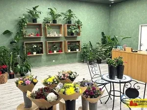 Pronájem obchodního prostoru, Brno - Brno-město, 64 m2