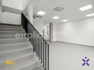 Pronájem obchodního prostoru, Brno, 444 m2