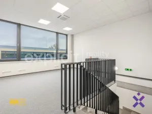 Pronájem obchodního prostoru, Brno, 444 m2