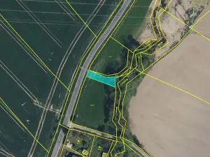 Dražba pole, Bylany, 243 m2