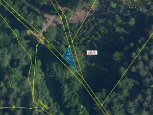 Dražba lesa, Jílové u Držkova, 88 m2