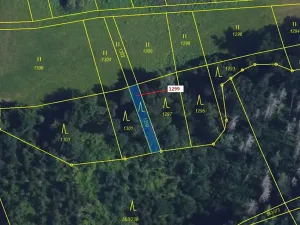 Dražba lesa, Spešov, 114 m2