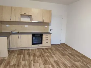 Pronájem bytu 3+kk, Ostrava, 28. října, 49 m2