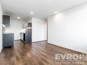 Prodej bytu 2+kk, Praha - Braník, Novodvorská, 40 m2