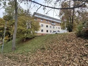 Prodej bytu 4+kk, Cheb, Hradební, 116 m2