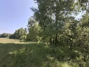 Prodej pozemku, Pomezí nad Ohří, 39941 m2