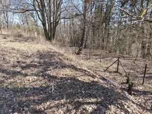 Prodej zahrady, Cheb, 3452 m2