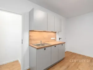 Pronájem bytu 2+1, Děčín, Ruská, 50 m2