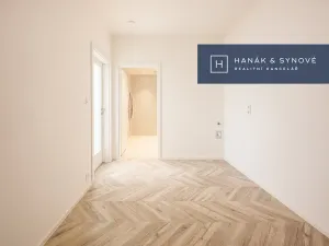 Pronájem bytu 1+kk, Brno, Cejl, 32 m2