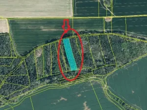 Prodej podílu lesa, Blížejov, 1818 m2