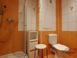 Prodej bytu 2+1, Brandýs nad Labem-Stará Boleslav, Vrbová, 55 m2