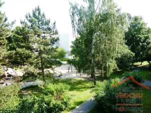 Prodej bytu 1+1, Hradec Králové, Truhlářská, 35 m2