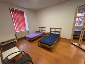 Pronájem bytu 2+1, Plzeň, Lindauerova, 55 m2