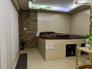 Pronájem restaurace, Topolná, 908 m2