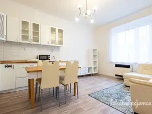 Pronájem bytu 2+kk, Praha - Holešovice, Osadní, 46 m2