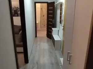 Pronájem bytu 2+1, Olomouc, Družební, 45 m2