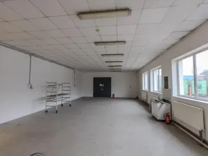 Prodej skladu, Roudnice nad Labem, Žižkova, 1111 m2