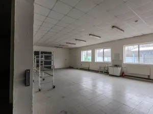 Prodej skladu, Roudnice nad Labem, Žižkova, 1111 m2