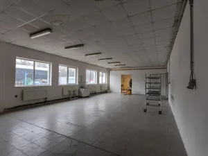 Prodej skladu, Roudnice nad Labem, Žižkova, 1111 m2