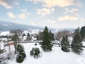 Prodej bytu 2+1, Tanvald, U Lesíka, 57 m2