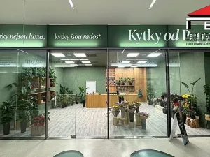 Pronájem obchodního prostoru, Brno, náměstí Svobody, 64 m2